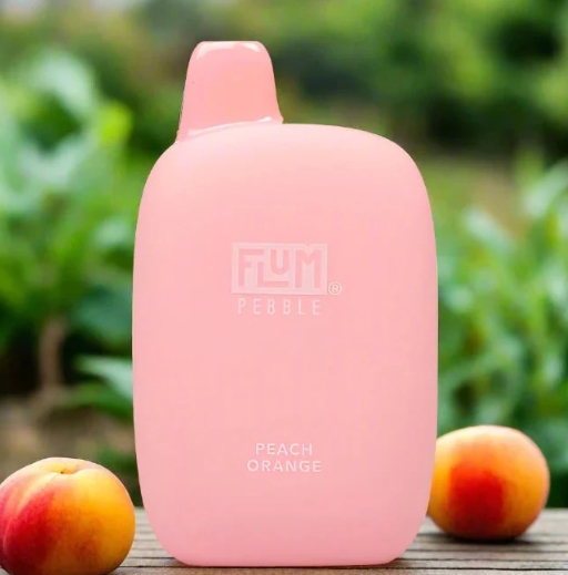 Flum Pebble：日本で注目を集めるスタイリッシュな電子タバコの魅力